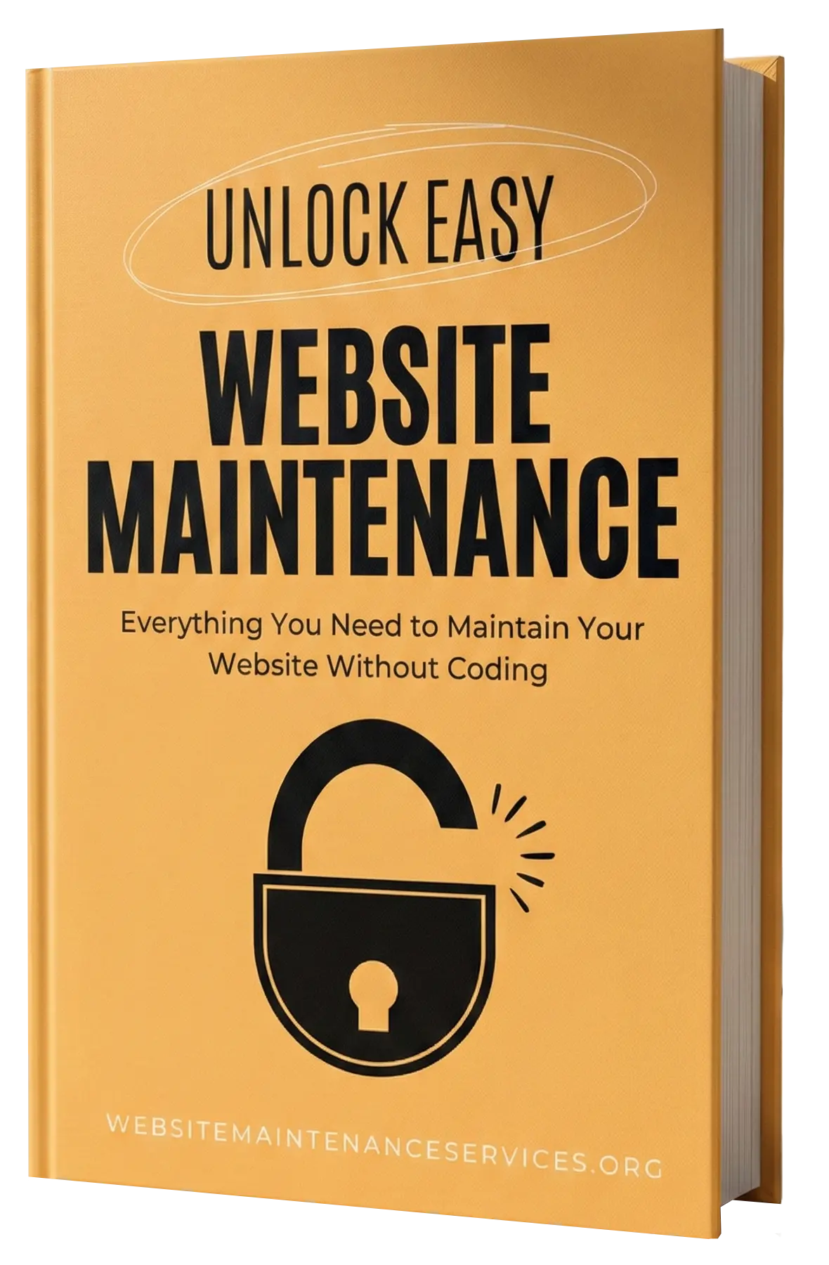 Get Website Maintenance Book